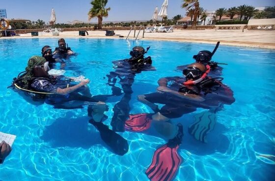Diving Course OWD PADI
