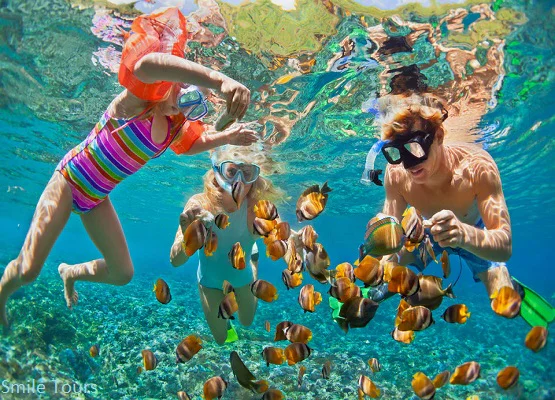 Utopia trip