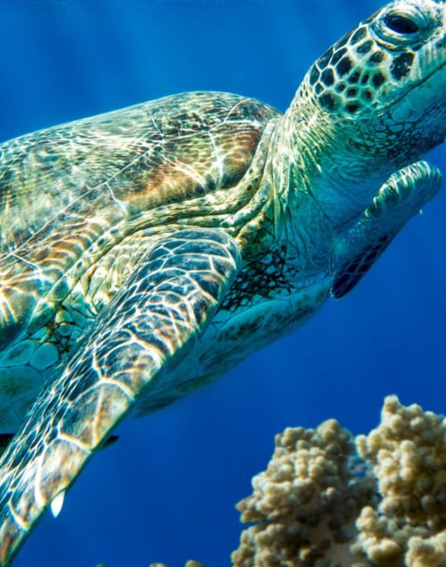 IMG_20250907_210623_412