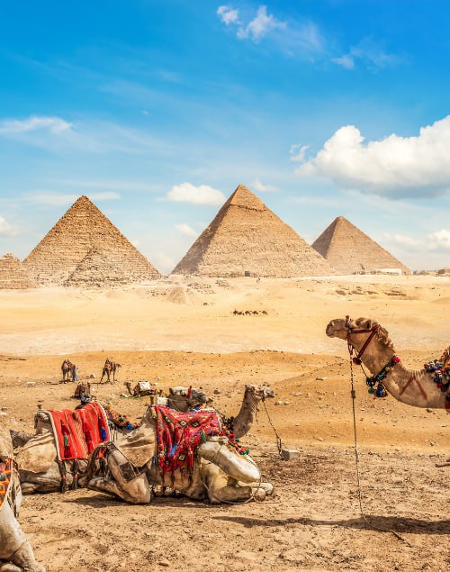 IMG_20250907_210632_808