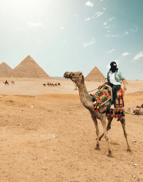 Desert Safari & Adventure