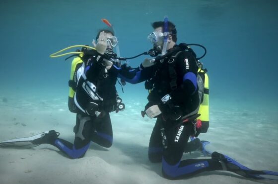 Introductory Scuba Diving – Red Sea Discovery