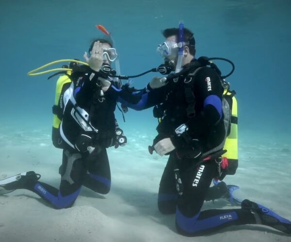 Introductory Scuba Diving – Red Sea Discovery