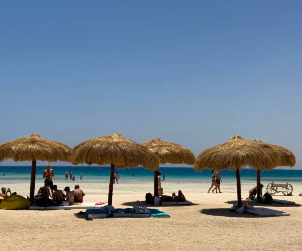 Wadi El Gamal – National Park Discovery