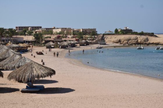 Sharm El Naga – Shore Snorkeling & Nature Reserve