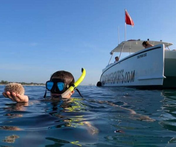 Private Snorkel Tour – Personal Boat & Minivan
