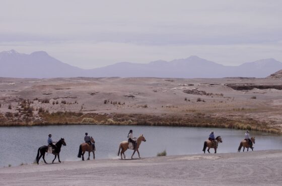 Horseback Riding – Beach & Desert Trails