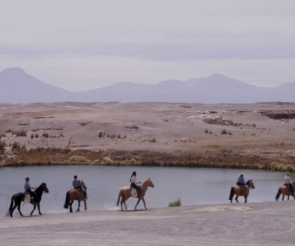 Horseback Riding – Beach & Desert Trails