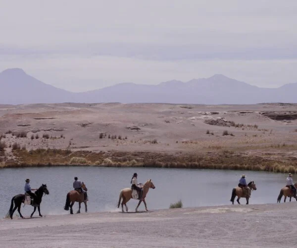 Horseback Riding – Beach & Desert Trails