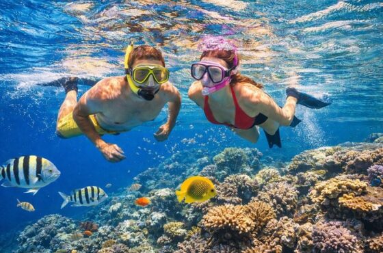 Hula Hula Island – Tropical Snorkeling Cruise