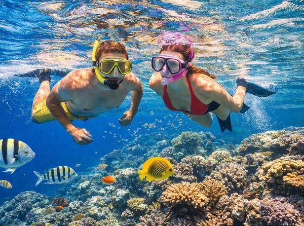 Hula Hula Island – Tropical Snorkeling Cruise